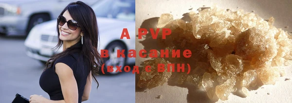 индика Абаза