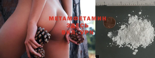 прущие грибы Абдулино