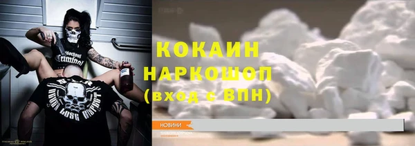 прущие грибы Абдулино