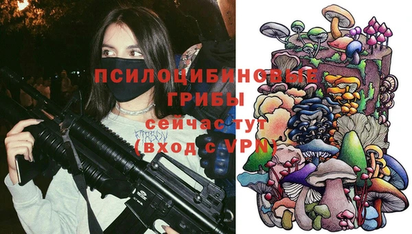 индика Абаза