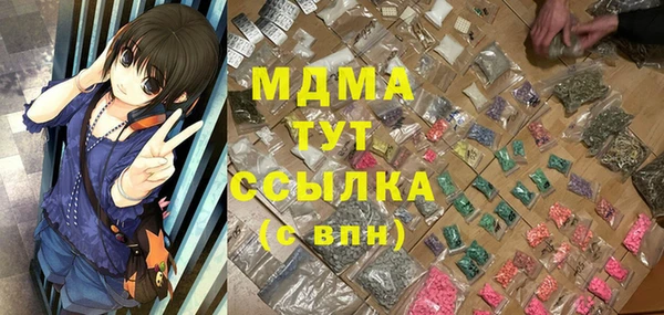 индика Абаза