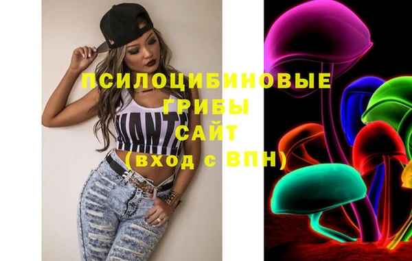 МДПВ Абинск